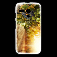 Coque Motorola G Pied de vigne en automne