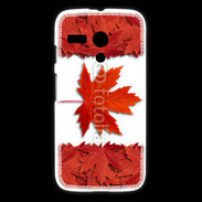 Coque Motorola G Canada en feuilles
