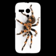 Coque Motorola G Araignée tarentule