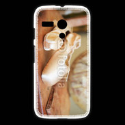 Coque Motorola G Chausson danse classique 6