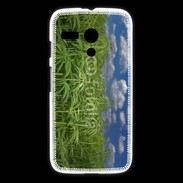 Coque Motorola G Champs de cannabis