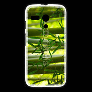 Coque Motorola G Forêt de bambou