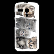 Coque Motorola G Groupe de chatons