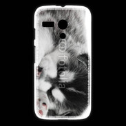 Coque Motorola G Chiot Husky