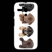 Coque Motorola G Alignement de petits chiens