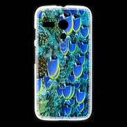 Coque Motorola G Banc de poissons bleus