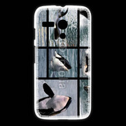 Coque Motorola G Orque noir et blanc