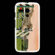 Coque Motorola G Agility Golden retriever