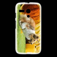 Coque Motorola G Agility Colley