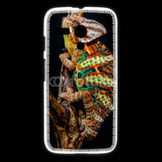 Coque Motorola G Caméléon Yemen