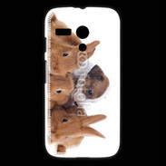 Coque Motorola G Gardien de lapins