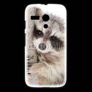 Coque Motorola G Raton laveur dans un arbre