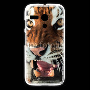 Coque Motorola G Tigre de Sibérie 1