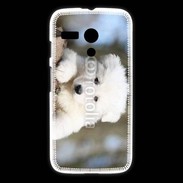 Coque Motorola G Chiot berger blanc suisse