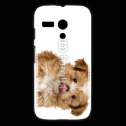 Coque Motorola G Petit chiot 4