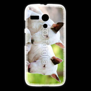 Coque Motorola G Chien Bull terrier anglais 1
