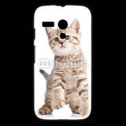 Coque Motorola G Adorable chaton 7