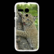 Coque Motorola G Bébé Lynx