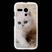 Coque Motorola G Adorable chaton persan 2