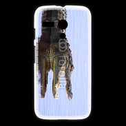 Coque Motorola G Alligator 1