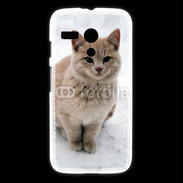 Coque Motorola G Chat dans la neige