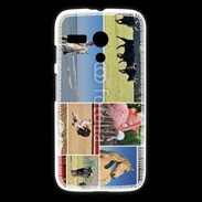 Coque Motorola G Beauté de la camargue