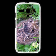 Coque Motorola G Lapin sauvage PB 1