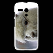 Coque Motorola G portrait de lama PB 1