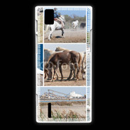 Coque Huawei Ascend P2 La Camargue