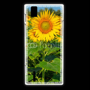 Coque Huawei Ascend P2 Champs de Tournesol