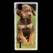 Coque Huawei Ascend P2 Chiot marron 2