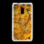 Coque Nokia Lumia 620 Arbres en automne