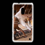 Coque Nokia Lumia 620 Capoeira
