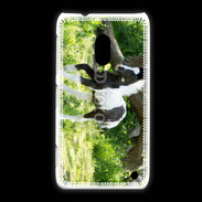 Coque Nokia Lumia 620 Poulain noir et blanc