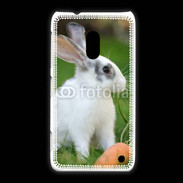 Coque Nokia Lumia 620 Lapin et carotte