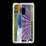 Coque Nokia Lumia 620 La Provence