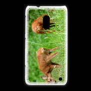 Coque Nokia Lumia 620 Chevreuil PB 1