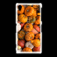 Coque Sony Xpéria Z1 fond de citrouilles automne