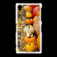 Coque Sony Xpéria Z1 Citrouilles
