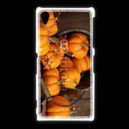 Coque Sony Xpéria Z1 Citrouilles 2