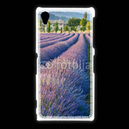 Coque Sony Xpéria Z1 La lavande en Provence
