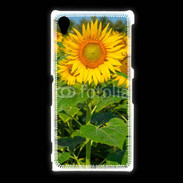 Coque Sony Xpéria Z1 Champs de Tournesol