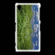 Coque Sony Xpéria Z1 Champs de cannabis