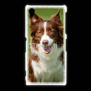 Coque Sony Xpéria Z1 Chien Colley marron et blanc