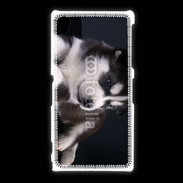 Coque Sony Xpéria Z1 Chiot Husky de Sibérie