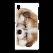 Coque Sony Xpéria Z1 Chiot chien loup 5