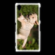 Coque Sony Xpéria Z1 Chiot labrador 3