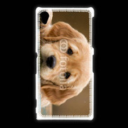 Coque Sony Xpéria Z1 Chiot labrador golden 2