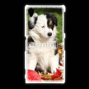 Coque Sony Xpéria Z1 Adorable chiot Border collie