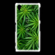 Coque Sony Xpéria Z1 Feuilles de marijuana